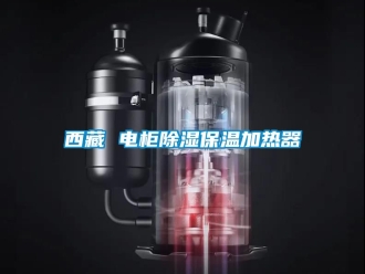 行業(yè)新聞西藏 電柜除濕保溫加熱器