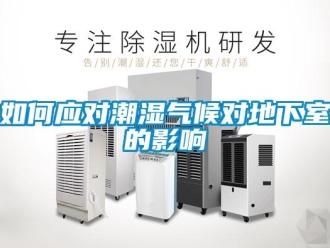 常見問題如何應對潮濕氣候對地下室的影響