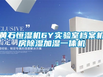 知識百科黃石恒濕機(jī)6Y實(shí)驗(yàn)室檔案機(jī)房除濕加濕一體機(jī)