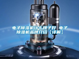企業新聞電子除濕機什么牌子好 電子除濕機品牌介紹【詳解】