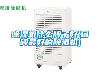 行業(yè)新聞除濕機(jī)什么牌子好(口碑最好的除濕機(jī))