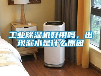 常見問題工業除濕機好用嗎，出現漏水是什么原因