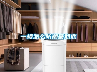 常見問題一樓怎么防潮最徹底