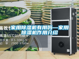 常見問題家用除濕機有用嗎—家用除濕機作用介紹