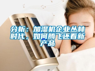 常見(jiàn)問(wèn)題分析：加濕機(jī)企業(yè)叢林時(shí)代，如何騰飛還看新產(chǎn)品