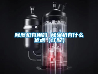 行業新聞除濕機有用嗎 除濕機有什么優點【詳解】