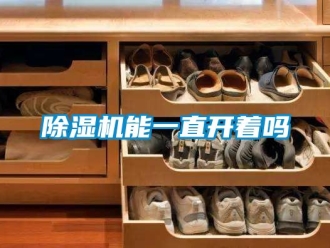 行業(yè)新聞除濕機(jī)能一直開(kāi)著嗎