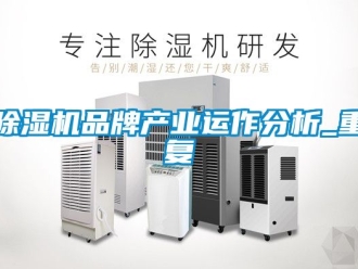 企業新聞除濕機品牌產業運作分析_重復