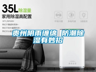 常見問題貴州陰雨纏綿 防潮除濕有妙招