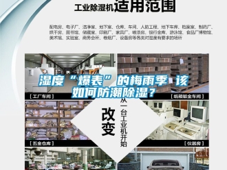 常見問題濕度“爆表”的梅雨季 該如何防潮除濕？