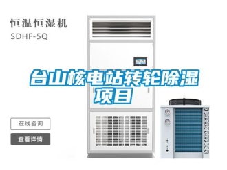 常見問題臺山核電站轉輪除濕項目