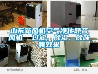 常見問題山東新風機空氣凈化靜音風機  過濾、除濕、除味等效果