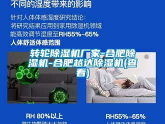 企業新聞轉輪除濕機廠家-合肥除濕機-合肥越達除濕機(查看)