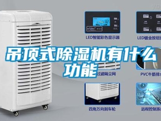 行業新聞吊頂式除濕機有什么功能