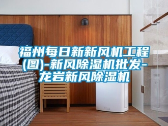 常見問題福州每日新新風機工程(圖)-新風除濕機批發(fā)-龍巖新風除濕機