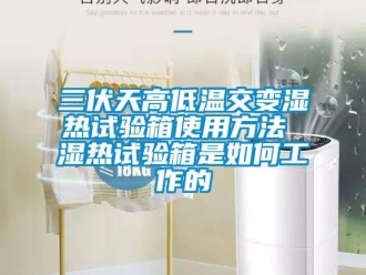 常見(jiàn)問(wèn)題三伏天高低溫交變濕熱試驗(yàn)箱使用方法 濕熱試驗(yàn)箱是如何工作的