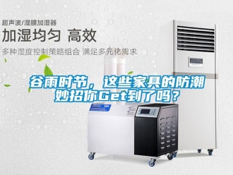 常見問題谷雨時節，這些家具的防潮妙招你Get到了嗎？