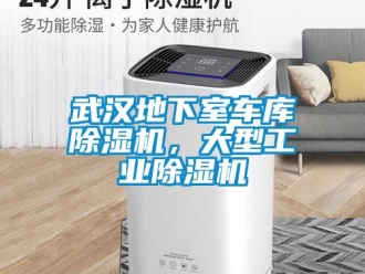 常見問題武漢地下室車庫除濕機，大型工業除濕機