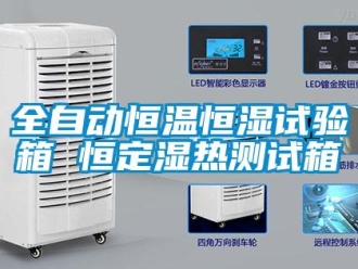 知識百科全自動(dòng)恒溫恒濕試驗(yàn)箱 恒定濕熱測試箱