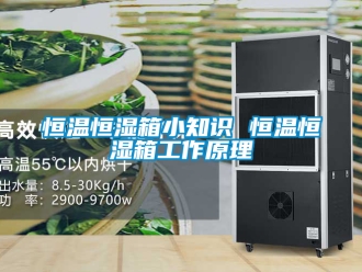 知識百科恒溫恒濕箱小知識 恒溫恒濕箱工作原理