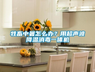 常見問題牲畜中暑怎么辦？用超聲波降溫消毒一體機