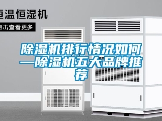 企業新聞除濕機排行情況如何—除濕機五大品牌推薦