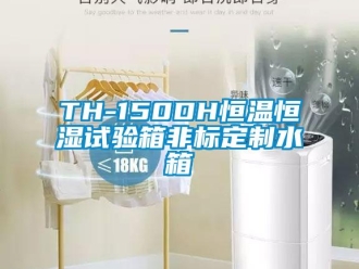 常見問題TH-150DH恒溫恒濕試驗箱非標定制水箱