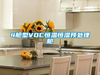常見問題4艙型VOC恒溫恒濕預處理艙
