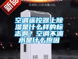 行業(yè)新聞空調(diào)遙控器上除濕是什么樣的標(biāo)志啊？空調(diào)不滴水是什么原因