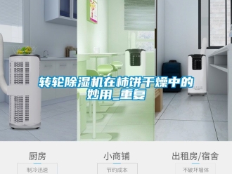 常見問題轉輪除濕機在柿餅干燥中的妙用_重復