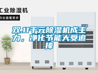 行業新聞雙.11千元除濕機成主力，凈化節能大受追捧