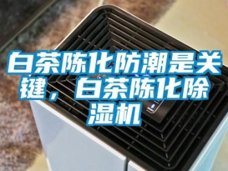 常見(jiàn)問(wèn)題白茶陳化防潮是關(guān)鍵，白茶陳化除濕機(jī)