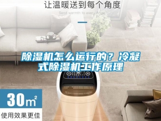 常見(jiàn)問(wèn)題除濕機(jī)怎么運(yùn)行的？冷凝式除濕機(jī)工作原理