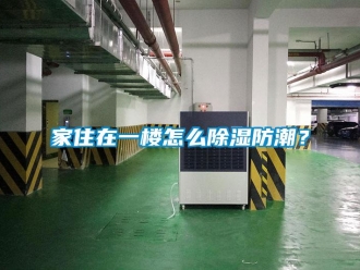 常見問題家住在一樓怎么除濕防潮？