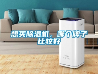 行業新聞想買除濕機，哪個牌子比較好