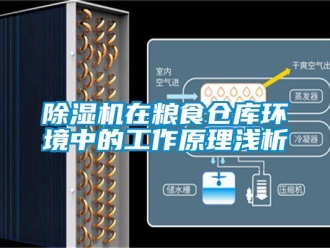 企業新聞除濕機在糧食倉庫環境中的工作原理淺析