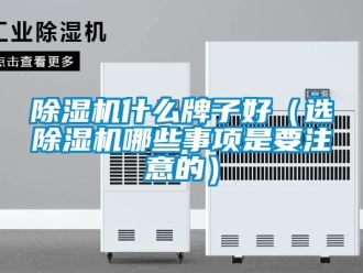 行業(yè)新聞除濕機(jī)什么牌子好（選除濕機(jī)哪些事項(xiàng)是要注意的）