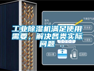 常見問題工業(yè)除濕機滿足使用需要，解決各類實際問題