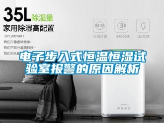 知識百科電子步入式恒溫恒濕試驗室報警的原因解析