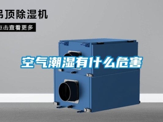 行業(yè)新聞空氣潮濕有什么危害