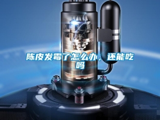 常見(jiàn)問(wèn)題陳皮發(fā)霉了怎么辦，還能吃嗎