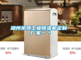 企業新聞湖州吊頂工業除濕機定制 廠家＊＊