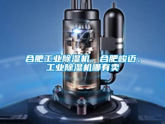 常見(jiàn)問(wèn)題合肥工業(yè)除濕機(jī)、合肥峻邁、工業(yè)除濕機(jī)哪有賣(mài)