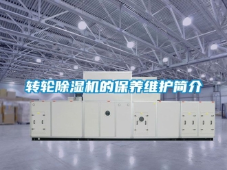 常見問題轉(zhuǎn)輪除濕機的保養(yǎng)維護簡介