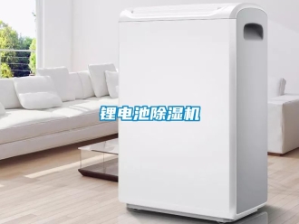 行業新聞鋰電池除濕機