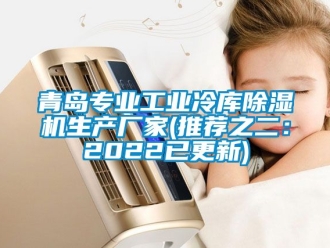 企業新聞青島專業工業冷庫除濕機生產廠家(推薦之二：2022已更新)