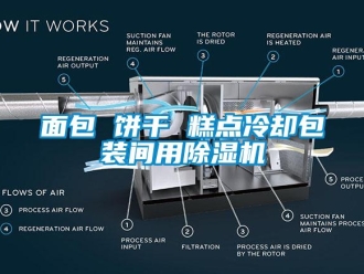 行業新聞面包 餅干 糕點冷卻包裝間用除濕機