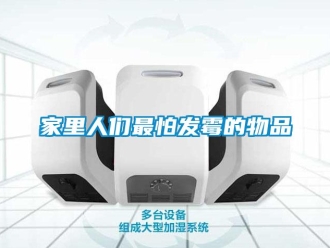 行業新聞家里人們最怕發霉的物品