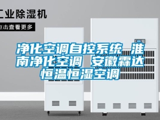 知識百科凈化空調自控系統 淮南凈化空調 安徽霖達恒溫恒濕空調