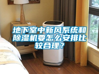 常見問題地下室中新風系統和除濕機要怎么安排比較合理？